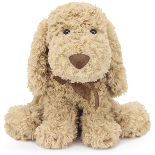 Toy Goldendoodle near Me