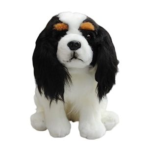 Toy King Charles Spaniel for Sale