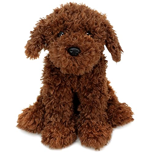 Toy Labradoodle for Sale