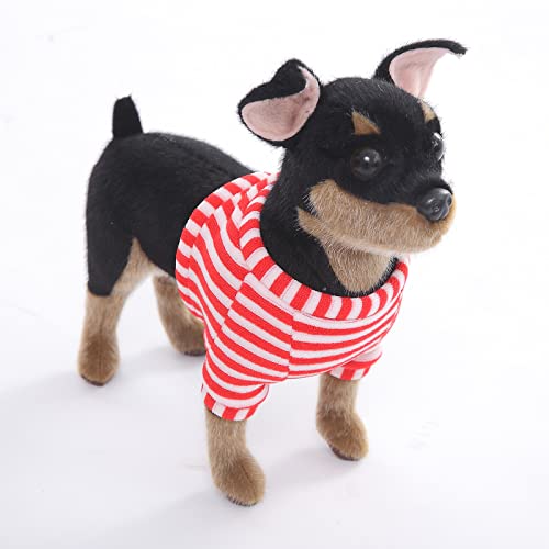 Toy Min Pin Dog
