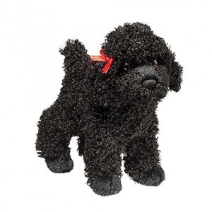 Toy Poodle Adoption Nyc