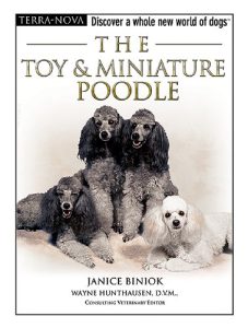 Toy Poodle Breed Information