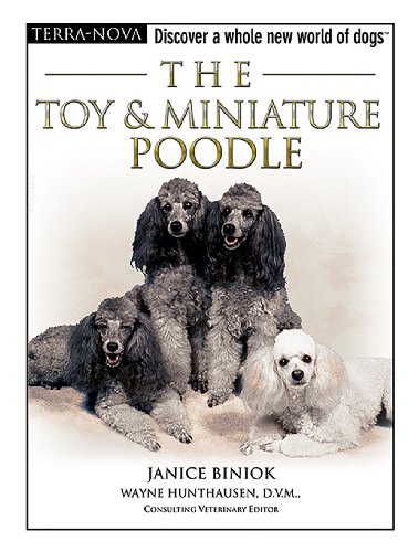 Toy Poodle Breed Information