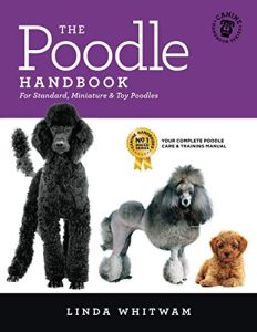 Toy Poodle Dogs Information