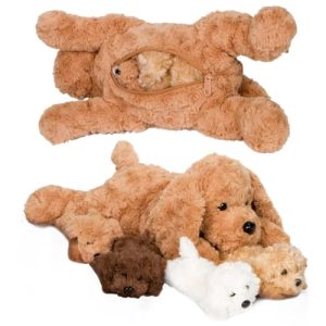 Toy Poodle Puppies Adoption
