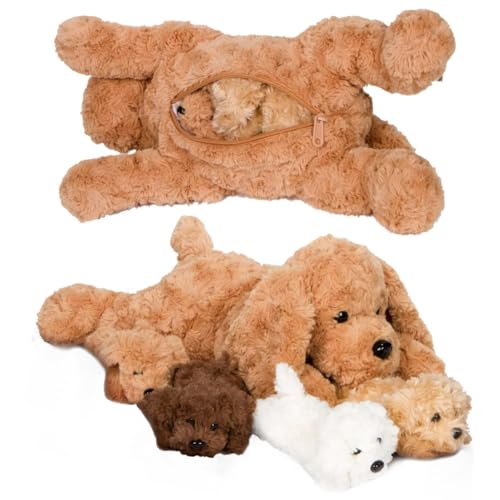 Toy Poodle Puppies Adoption