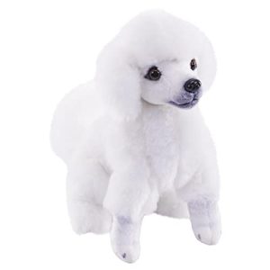 Toy Poodles Rescue near Me