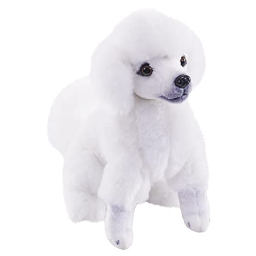 Toy Poodles Rescue near Me