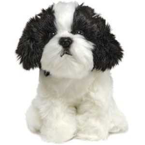 Toy Shih Tzu Dog