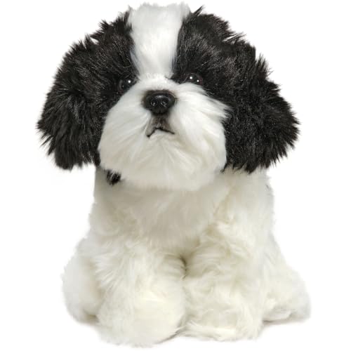Toy Shih Tzu Dog