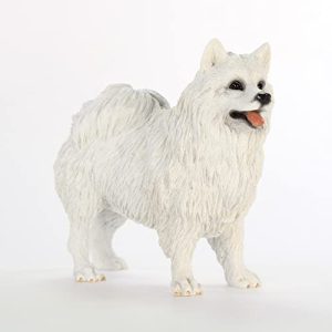 Toy Size American Eskimo