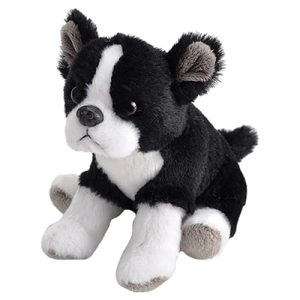 Toy Terrier for Sale