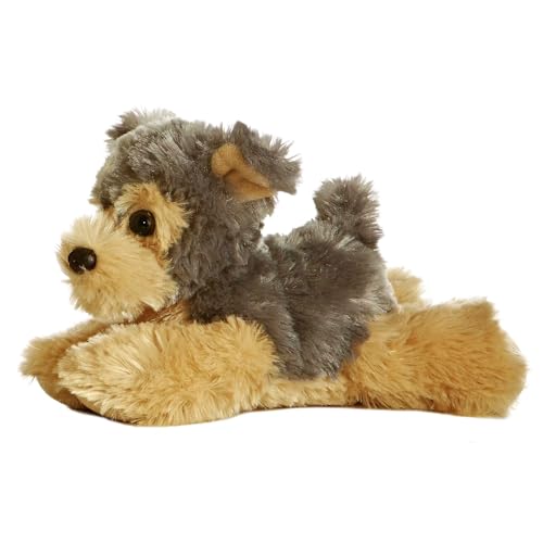 Toy Yorkshire Terrier for Sale