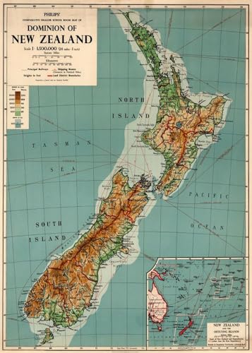 Toys Online New Zealand