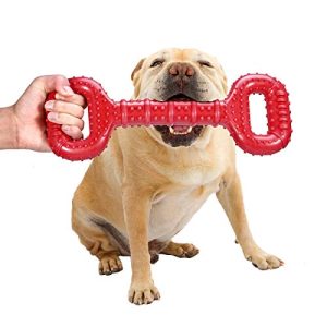 Toys That Dogs Can'T Chew Up