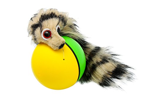 Toys That Entertain Dogs
