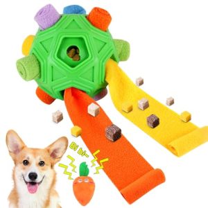 Toys to Tire Out Dogs