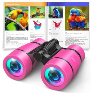 Trending Toys for 5 Year Olds