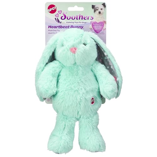 Turn Your Pet into a Stuffed Toy