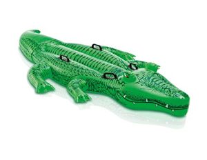 Walmart Inflatable Pool Toys