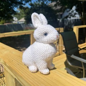 What Diy Toys Can I Make for My Baby Bunny
