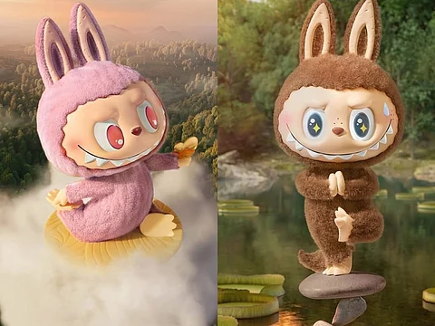 What is the Most Expensive Collectible Toy