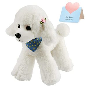 Where Can I Buy a Toy Poodle