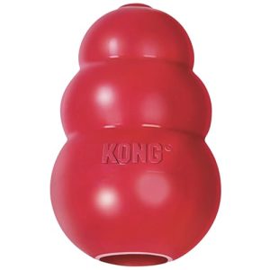 Where Can I Buy Kong Dog Toys