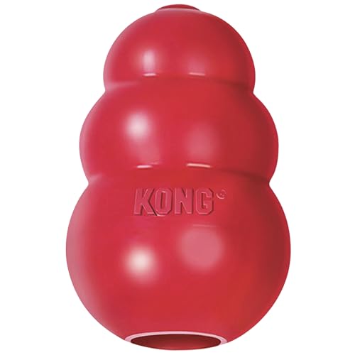Where Can I Buy Kong Dog Toys